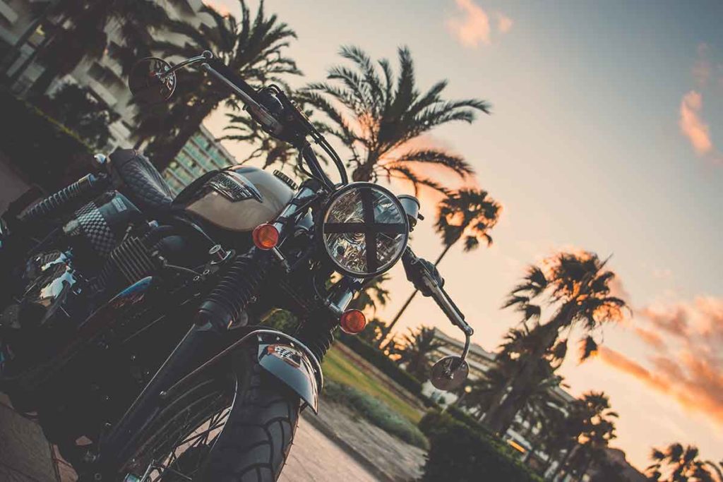 Motorcycle and palm trees