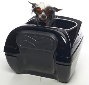 motorcycle puppy carrier from rockstar puppy
